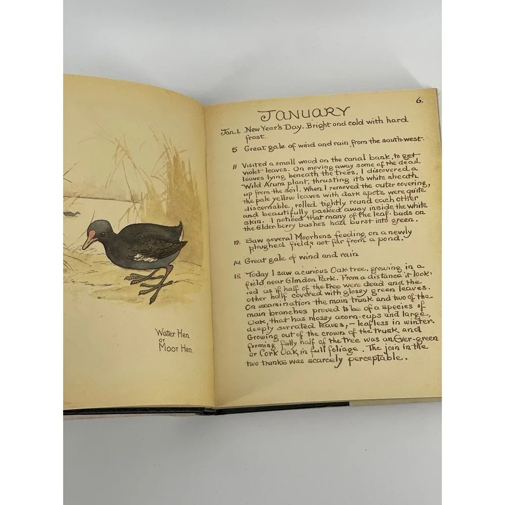 The‎ Country Diary of an Edwardian Lady Hardcover 1977 Edith Holden